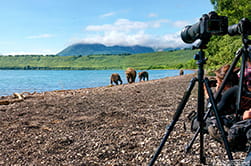 foto of bears fishing Kamchatka
