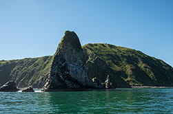 Starichkov island view
