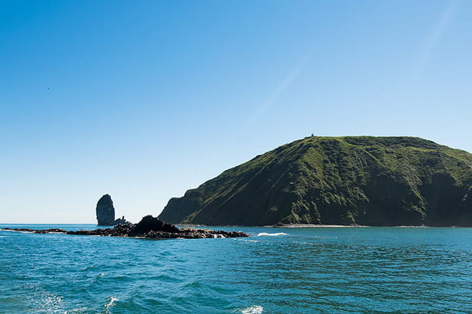 sea cruise kamchatka travel