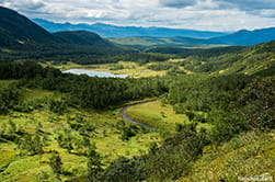 view from the top
