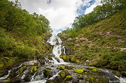 one more small waterfalls