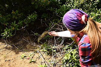 to feed ground squirrel evrazhka