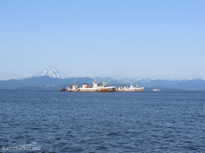 Vessels are at the roadstead in the water area.