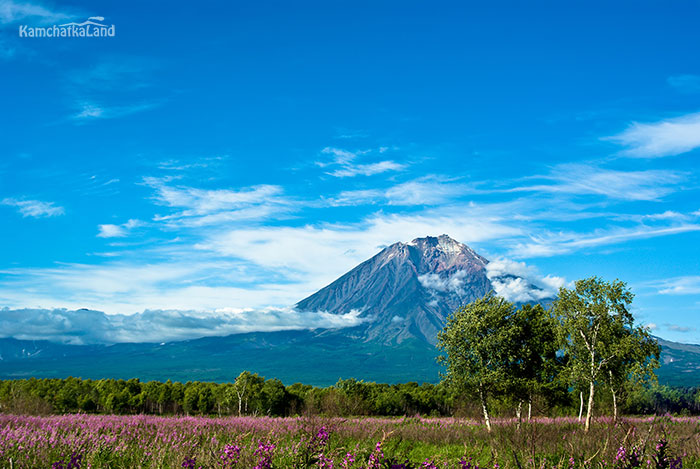 Tours to Kamchatka in August.