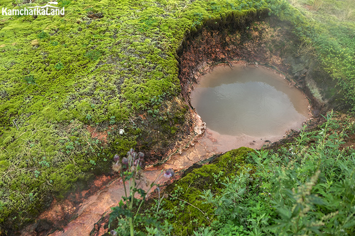 Mud boilers and thermal springs.