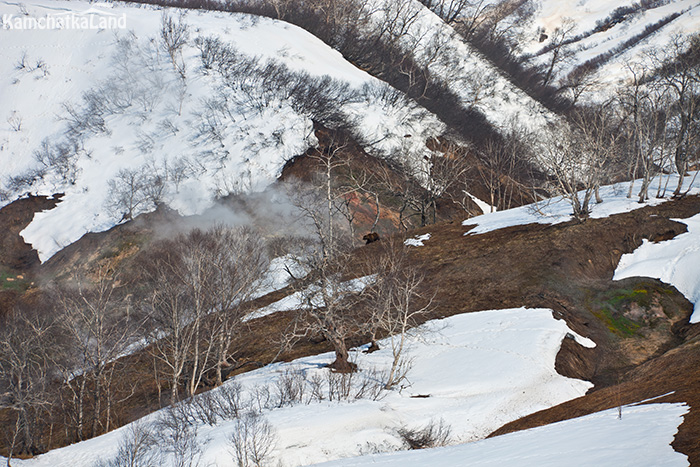 winter in the Valley of the Geysers..