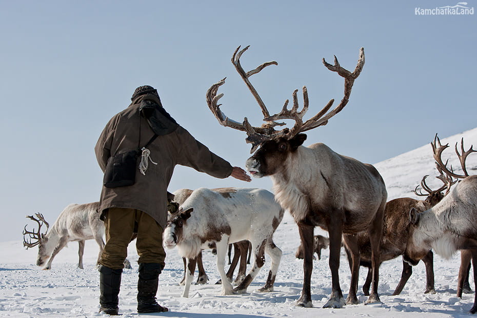 Celebration of Reindeer Herder's Day