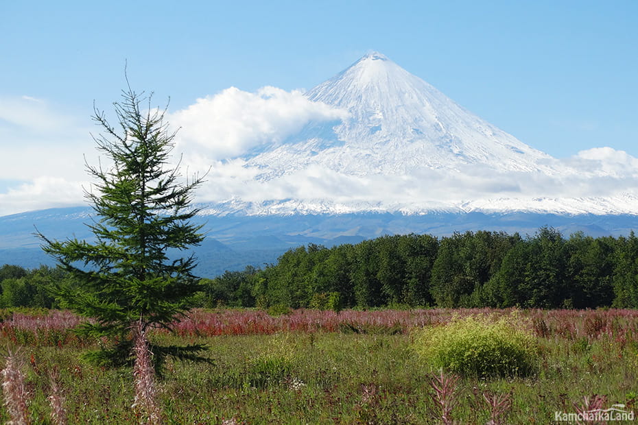 The road to Esso in Kamchatka.