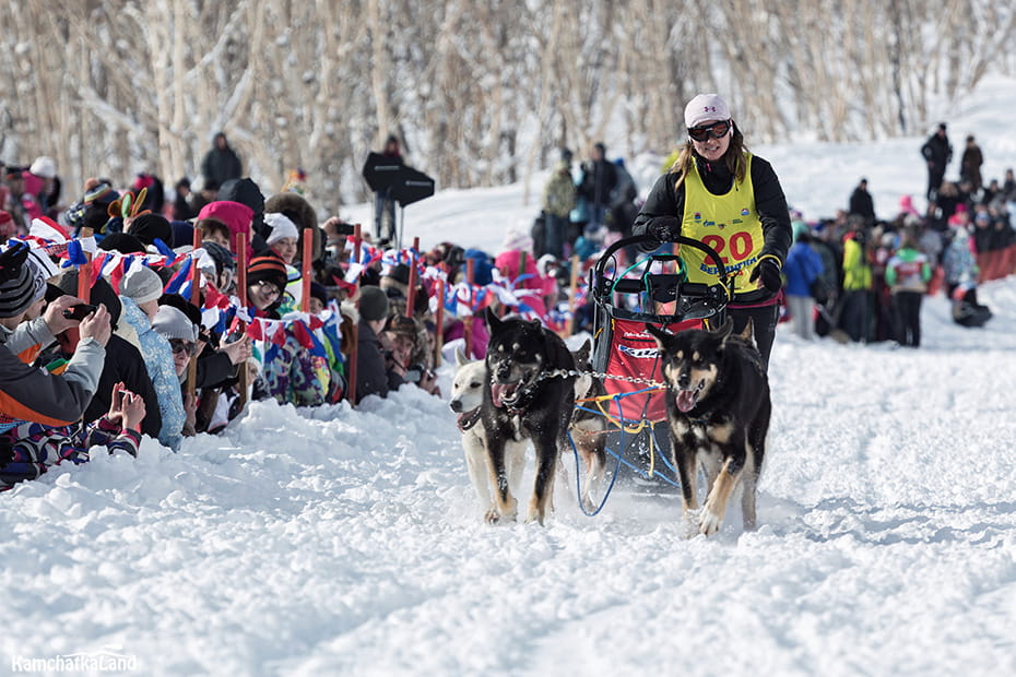 dogsled race.