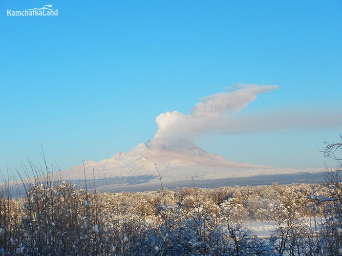 Tours to Kamchatka in February.