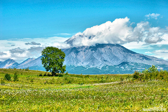 Volcanoes in July