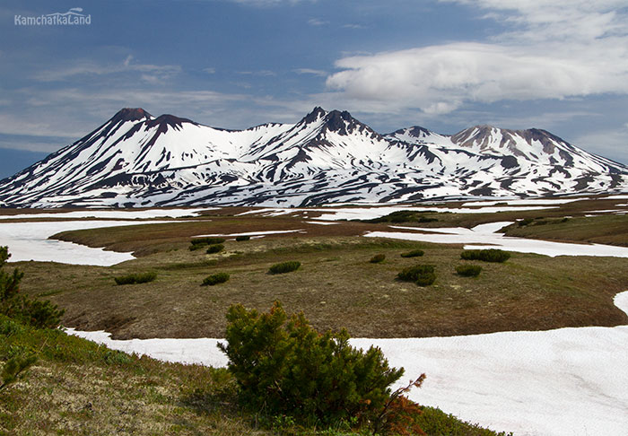 Kamchatka in June.