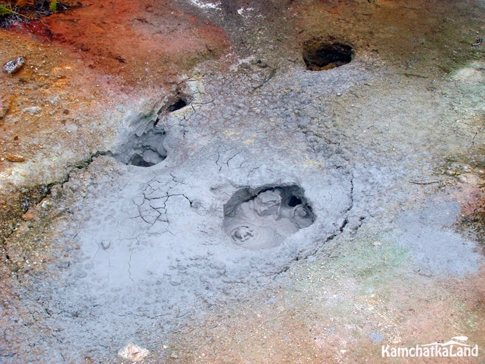 The volcano's mud pots.