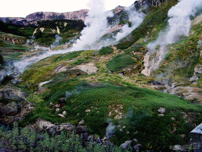 Valley of Geysers.