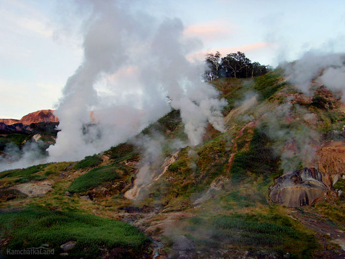 geyser activity