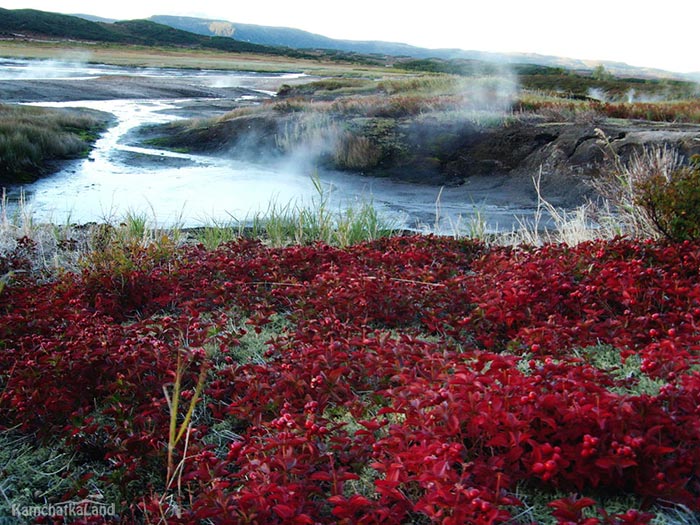 The colours of the volcano.