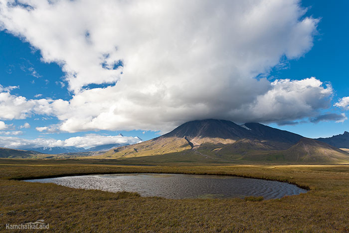 A small lake.