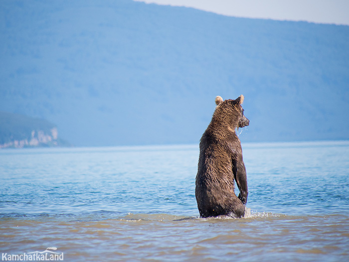 Kronotsky Lake in Kamchatka.