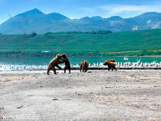 Kuril Lake.