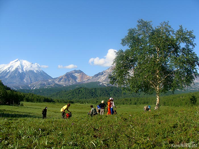 Travelling group rest.