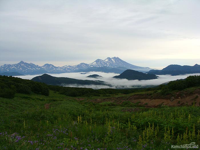 Fog has gathered in the lowlands