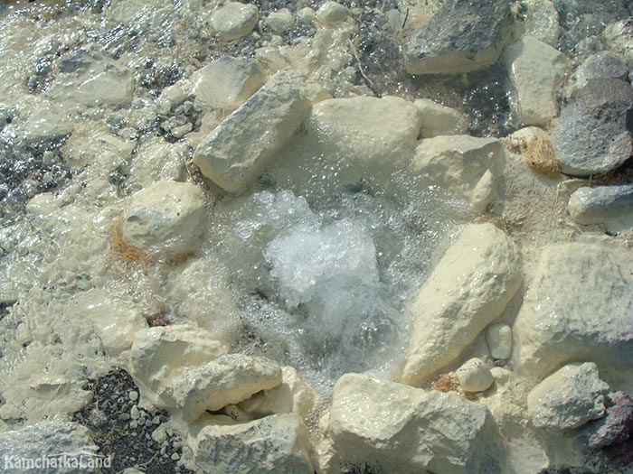 the springs in the nature park are coming out of the ground.