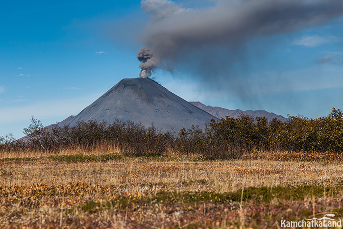 Travelling to Kamchatka in November.