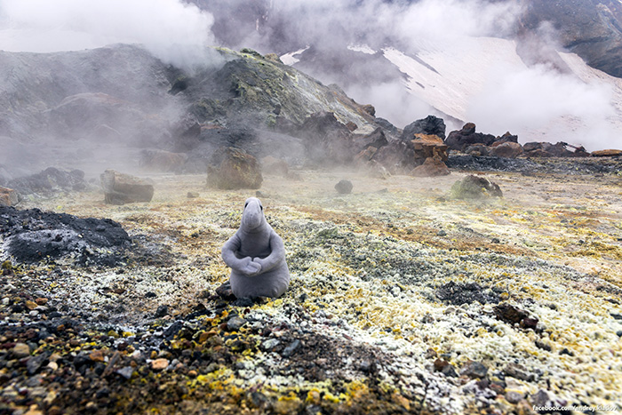 South Kamchatka.