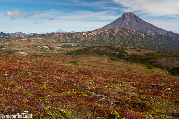 Tours to Kamchatka in September.