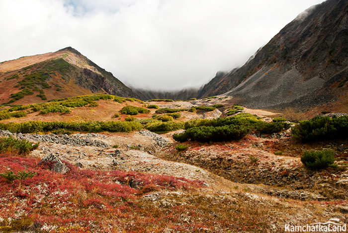 Alkhalalalai on tours to Kamchatka.