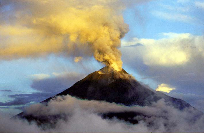 Shiveluch volcano