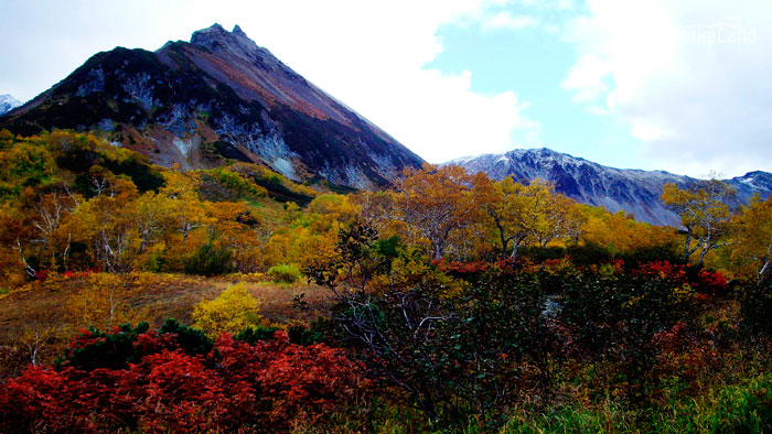 Mountains in autumn.