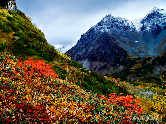 Vachkazhtsa Mountain Gorge.