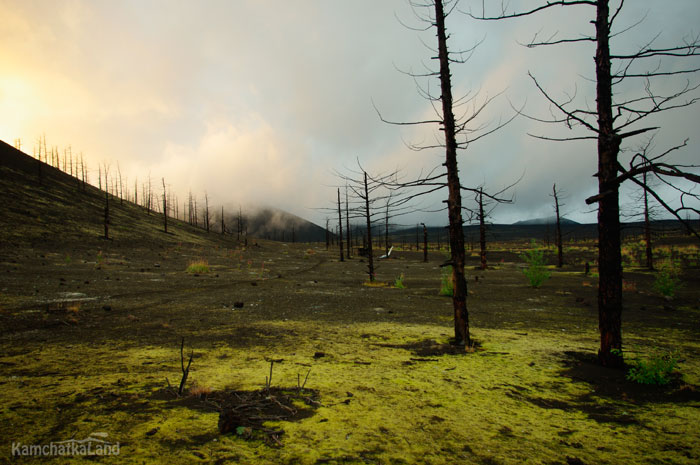 Plosky Tolbachik volcano.