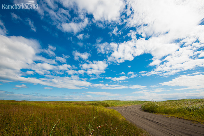 Road to the beach.