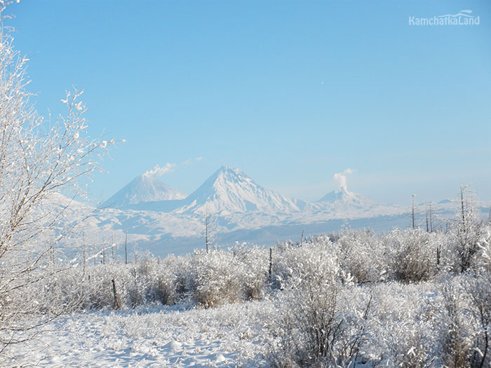 Winter Kamchatka.