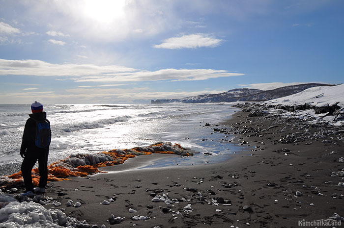 The frozen shore of the ocean.