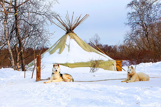 What to see in spring in Kamchatka.