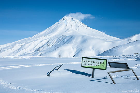 Tours to Kamchatka in winter